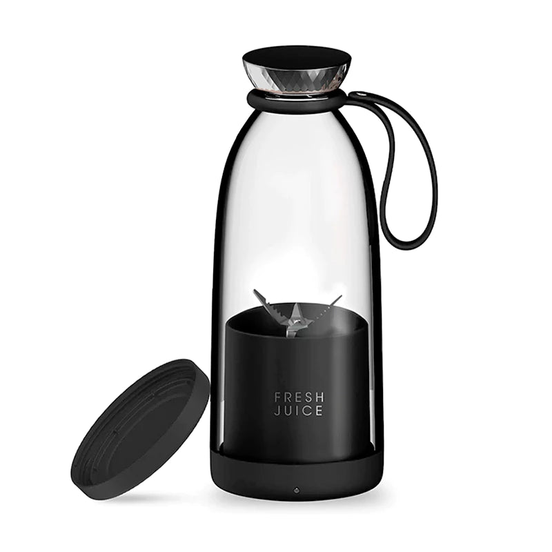 Fruit Blender 500ml - Y03