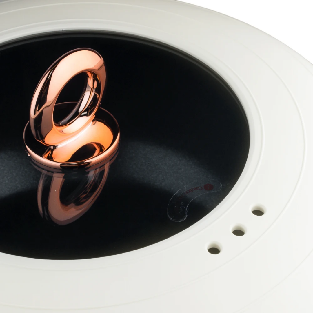 RAF Multi Function Electric Pot R.5401