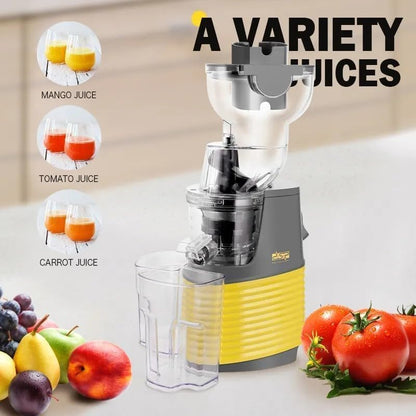 Dsp Whole Slow Juicer - KJ3701