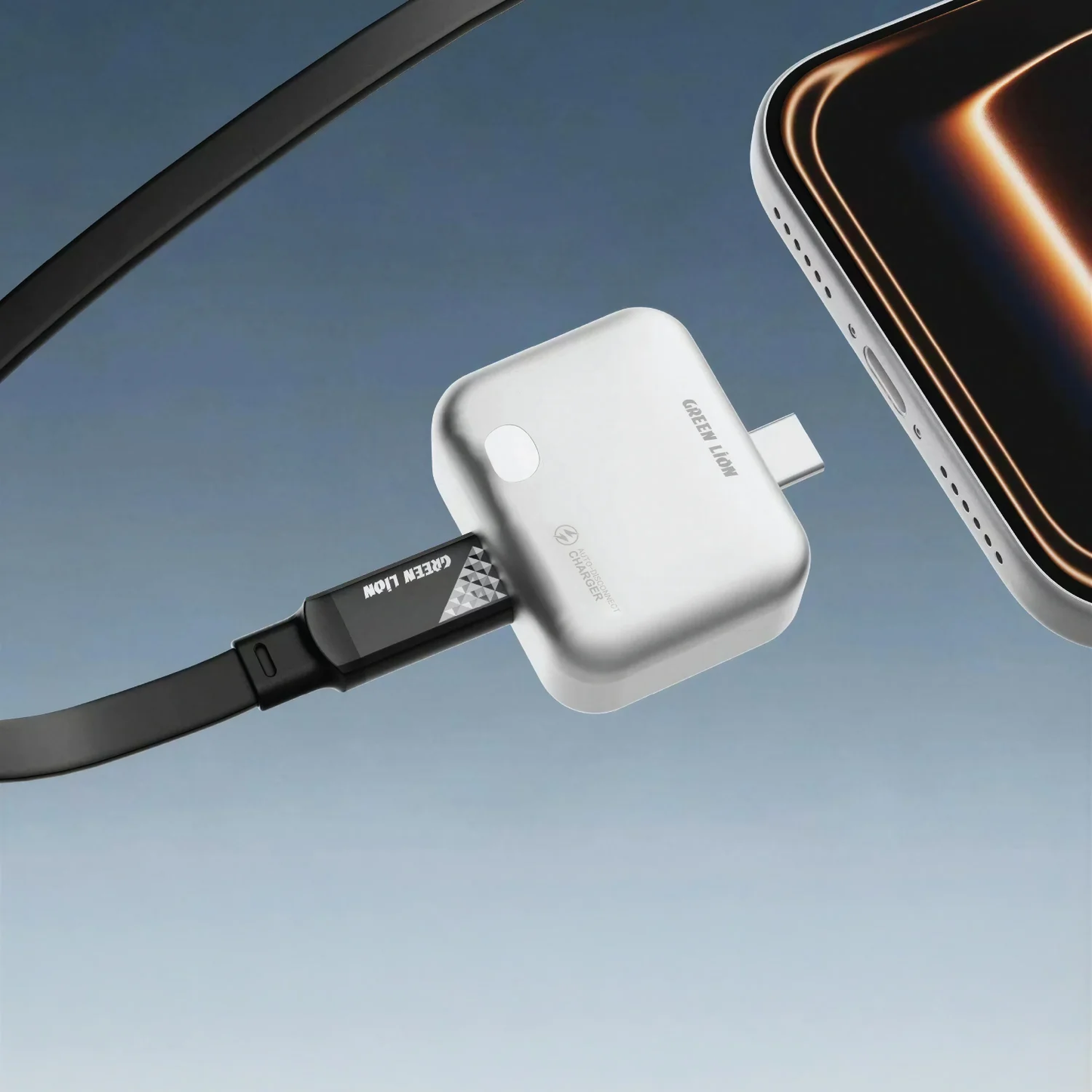 Green Lion Auto-Disconnect Smart Charger